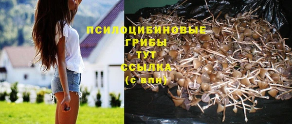 ПСИЛОЦИБИНОВЫЕ ГРИБЫ Алзамай