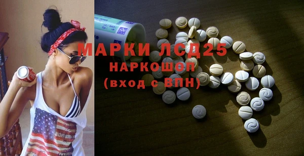 молекула духа Няндома