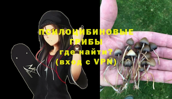 кокс Алексин