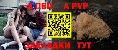 тгк Дмитров