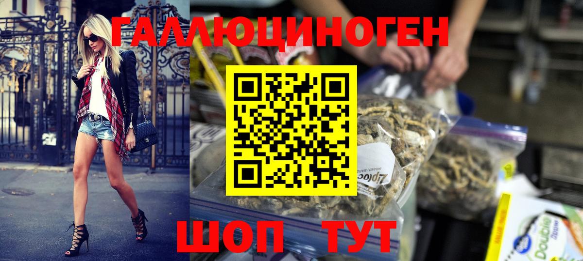 Псилоцибиновые грибы Psilocybe  Псилоцибиновые грибы GOLDEN TEACHER  наркотики  Раменское  Вход с VPN 