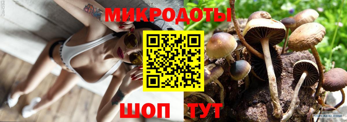 Галлюциногенные грибы ЛСД Раменское